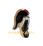弥羽ちゃんです（個別スタンプ：6）