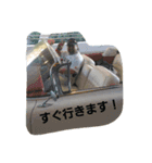 fight4（個別スタンプ：8）