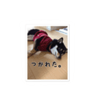 stampof everyday（個別スタンプ：4）