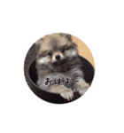 stampof everyday（個別スタンプ：6）