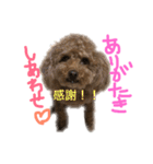 愛嬌たっぷりしゃくれトイプちゃん（個別スタンプ：2）