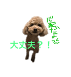 愛嬌たっぷりしゃくれトイプちゃん（個別スタンプ：3）