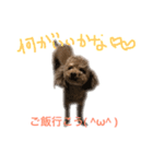 愛嬌たっぷりしゃくれトイプちゃん（個別スタンプ：7）