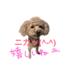 愛嬌たっぷりしゃくれトイプちゃん（個別スタンプ：13）