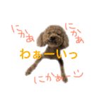 愛嬌たっぷりしゃくれトイプちゃん（個別スタンプ：14）