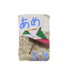 cocoa cat1（個別スタンプ：11）
