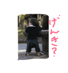 cocoa cat1（個別スタンプ：13）