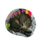 HIME_（個別スタンプ：1）
