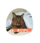 HIME_（個別スタンプ：6）
