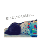 kanata#2（個別スタンプ：2）
