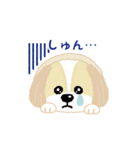 アイドル犬、モコちゃんの日常（個別スタンプ：6）