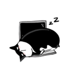 Seven The fat cat（個別スタンプ：13）