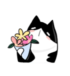 Seven The fat cat（個別スタンプ：22）
