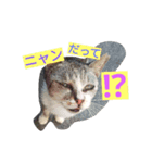 kiyooffice4（個別スタンプ：3）