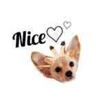Coco Happy Life（個別スタンプ：2）