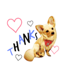 Coco Happy Life（個別スタンプ：6）