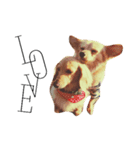 Coco Happy Life（個別スタンプ：8）