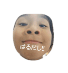 しまとらのすたんぷ（個別スタンプ：12）