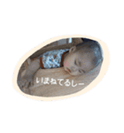 しまとらのすたんぷ（個別スタンプ：16）