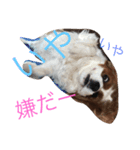 きゃばりあここの日常（個別スタンプ：6）