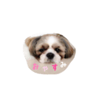 じょわくんスタンプ2（個別スタンプ：1）