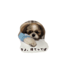 じょわくんスタンプ2（個別スタンプ：6）