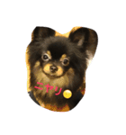 buratan pomeranian（個別スタンプ：9）