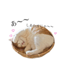 うなちゃんの日常スタンプ（個別スタンプ：33）