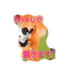 少しだけ砕けたい（個別スタンプ：5）