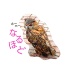 少しだけ砕けたい（個別スタンプ：9）