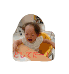 STAMPJ（個別スタンプ：33）