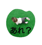 STAMPJ（個別スタンプ：36）
