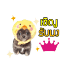 Baan Mah Deu（個別スタンプ：23）