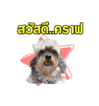 Moji Oppa（個別スタンプ：1）