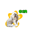 Moji Oppa（個別スタンプ：4）