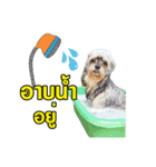 Moji Oppa（個別スタンプ：6）