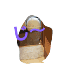 this is my family story cat（個別スタンプ：15）