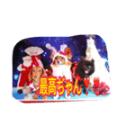 きえぽんぬ（個別スタンプ：4）