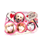 きえぽんぬ（個別スタンプ：11）