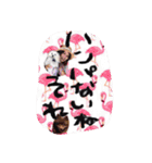 きえぽんぬ（個別スタンプ：16）