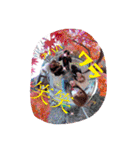 きえぽんぬ（個別スタンプ：20）