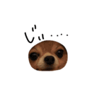 やばい犬（個別スタンプ：3）