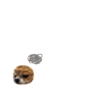 やばい犬（個別スタンプ：14）