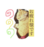 ラブラドールとネコ（個別スタンプ：3）