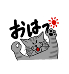 とらじくん（個別スタンプ：2）