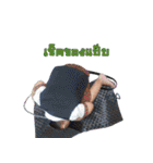 N' Jigsaw（個別スタンプ：20）