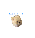 ポンポンクマ（個別スタンプ：9）