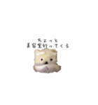 ポンポンクマ（個別スタンプ：18）