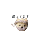 ポンポンクマ（個別スタンプ：22）