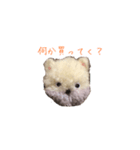 ポンポンクマ（個別スタンプ：28）
